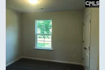 1351 Tamarind Lane, Chapin, SC 29036 - Photo 15