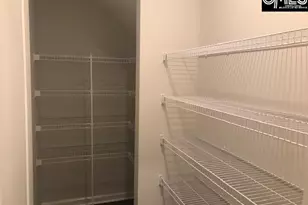 1351 Tamarind Ln, Chapin, SC 29036 - Photo 5