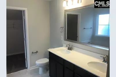 1351 Tamarind Lane, Chapin, SC 29036 - Photo 11