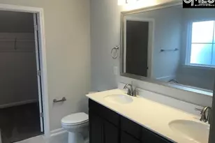 1351 Tamarind Ln, Chapin, SC 29036 - Photo 11