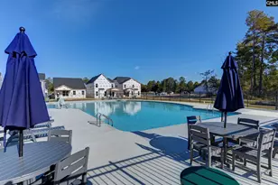 628 Thunder Gulch Ave, Lexington, SC 29073 - Photo 39