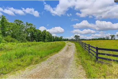 2544 Wessinger Road, Chapin, SC 29036 - Photo 7