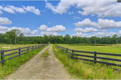 2544 Wessinger Road, Chapin, SC 29036 - Photo 1