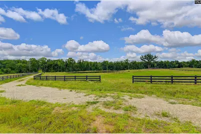 2544 Wessinger Road, Chapin, SC 29036 - Photo 9