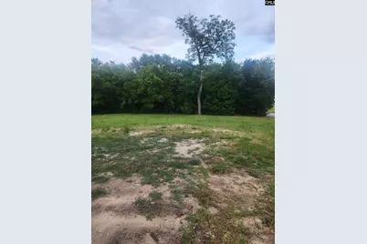 2418 Campbell Street, Elgin, SC 29045 - Photo 3