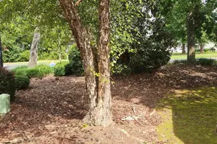 101 Colonial Commons Ln, Columbia, SC 29209 - Photo 3