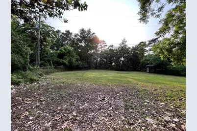 250 Pine Street, Winnsboro, SC 29180 - Photo 3