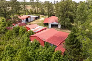 3941 Hillbilly Wy, McBee, SC 29101 - Photo 37