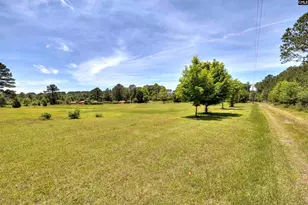 3941 Hillbilly Wy, McBee, SC 29101 - Photo 39