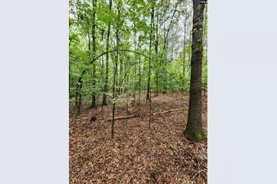 0 Elm Street, Prosperity, SC 29127 - Photo 23