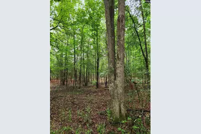 0 Elm Street, Prosperity, SC 29127 - Photo 9