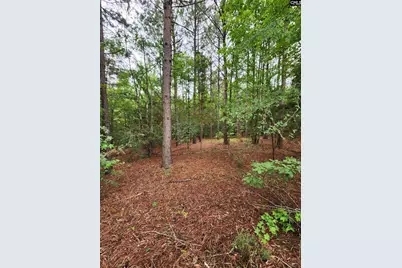 0 Elm Street, Prosperity, SC 29127 - Photo 5