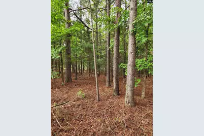 0 Elm Street, Prosperity, SC 29127 - Photo 7