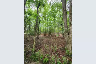 0 Elm Street, Prosperity, SC 29127 - Photo 21