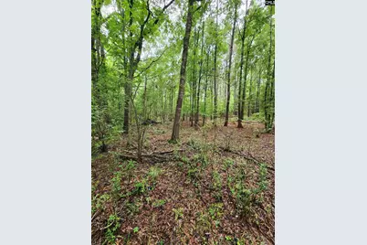 0 Elm Street, Prosperity, SC 29127 - Photo 21