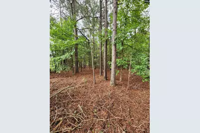 0 Elm Street, Prosperity, SC 29127 - Photo 5