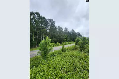 0 Elm Street, Prosperity, SC 29127 - Photo 3