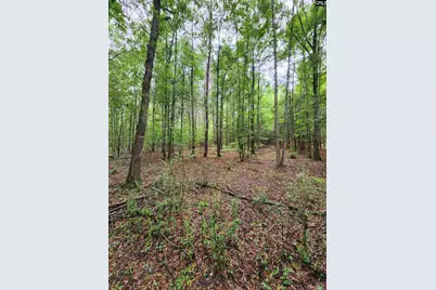 0 Elm Street, Prosperity, SC 29127 - Photo 23