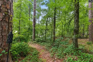 108 Timber Knoll Dr, Irmo, SC 29063 - Photo 67