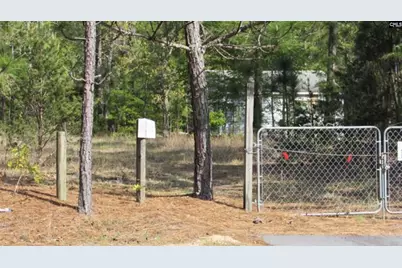 7933 Edmund Highway, Pelion, SC 29123 - Photo 5
