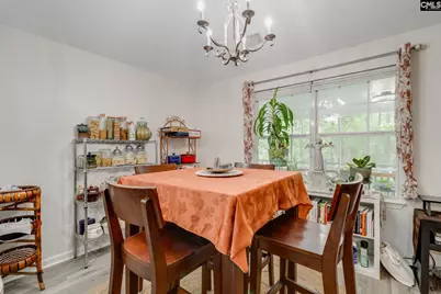 248 N High Duck Trail, Blythewood, SC 29016 - Photo 9