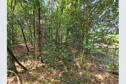 1307 Main Street, West Columbia, SC 29170 - Photo 17