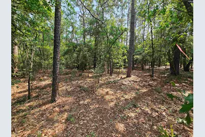 1307 Main Street, West Columbia, SC 29170 - Photo 13