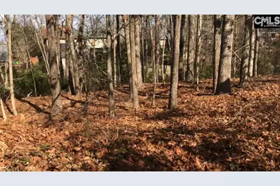 326 Carola Lane, Lexington, SC 29072 - Photo 1