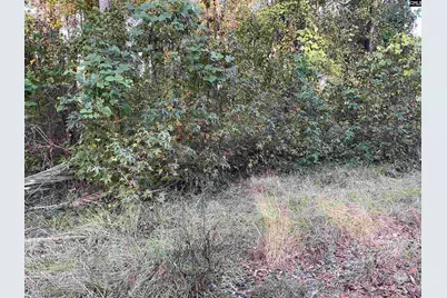 3551 Moonlight Road, Barnwell, SC 29853 - Photo 1