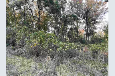 3551 Moonlight Road, Barnwell, SC 29853 - Photo 3