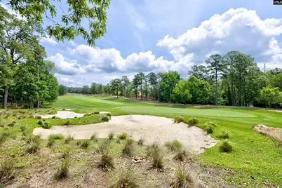 263 Thacher Loop, Elgin, SC 29045 - Photo 33