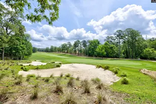 263 Thacher Loop, Elgin, SC 29045 - Photo 33