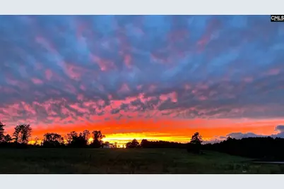 223 Cammack Road, Winnsboro, SC 29180 - Photo 45