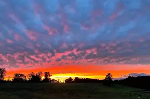 223 Cammack Rd, Winnsboro, SC 29180 - Photo 45