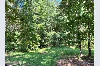 6712 E Peach Road, Ridgeway, SC 29130 - Photo 3