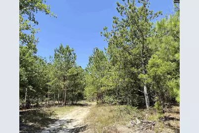 1137 A Smyrna Road, Elgin, SC 29045 - Photo 15