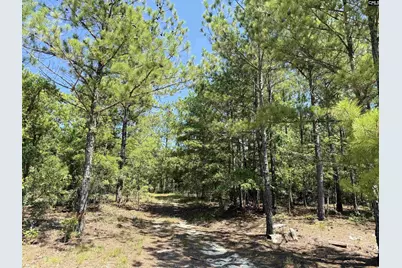 1137 A Smyrna Road, Elgin, SC 29045 - Photo 13