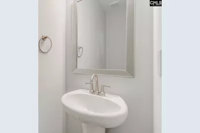 250 Horse Farm Place, Lexington, SC 29072 - Photo 31