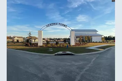 266 Horse Farm Place, Lexington, SC 29072 - Photo 27