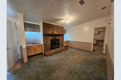 238 Cromer Road, Lexington, SC 29073 - Photo 9