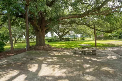 318 Summerland Avenue, Batesburg, SC 29006 - Photo 5