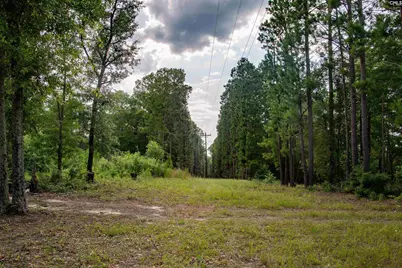 105 Dunwoody Place, Blythewood, SC 29016 - Photo 19