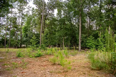 105 Dunwoody Place, Blythewood, SC 29016 - Photo 23