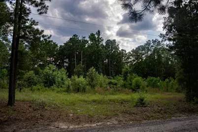 105 Dunwoody Place, Blythewood, SC 29016 - Photo 13