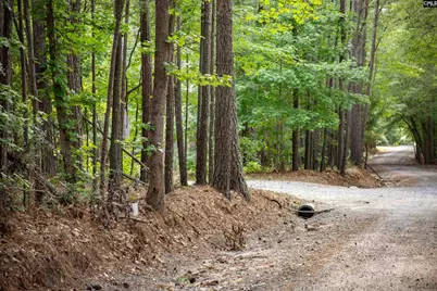 105 Dunwoody Place, Blythewood, SC 29016 - Photo 7