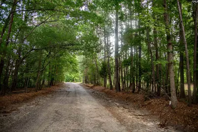 105 Dunwoody Place, Blythewood, SC 29016 - Photo 5