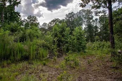 105 Dunwoody Place, Blythewood, SC 29016 - Photo 21