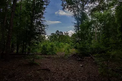 105 Dunwoody Place, Blythewood, SC 29016 - Photo 17