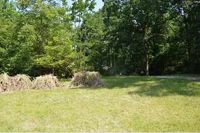 2614 Lake Road, Ridgeway, SC 29130 - Photo 31