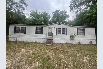 6961 North Road, North, SC 29112 - Photo 1